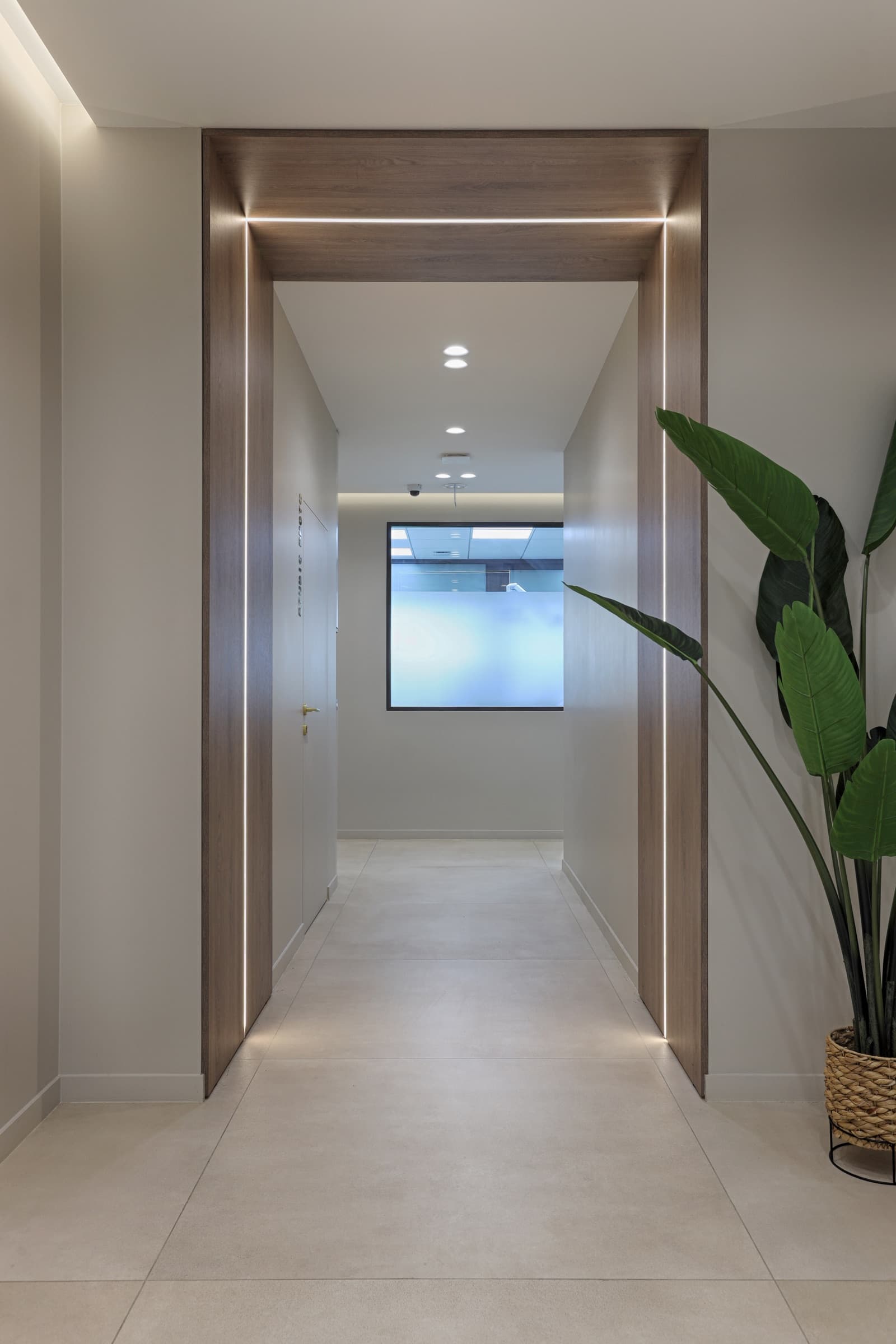 Couloir avec arche en bois LED encastrée et plante exotique